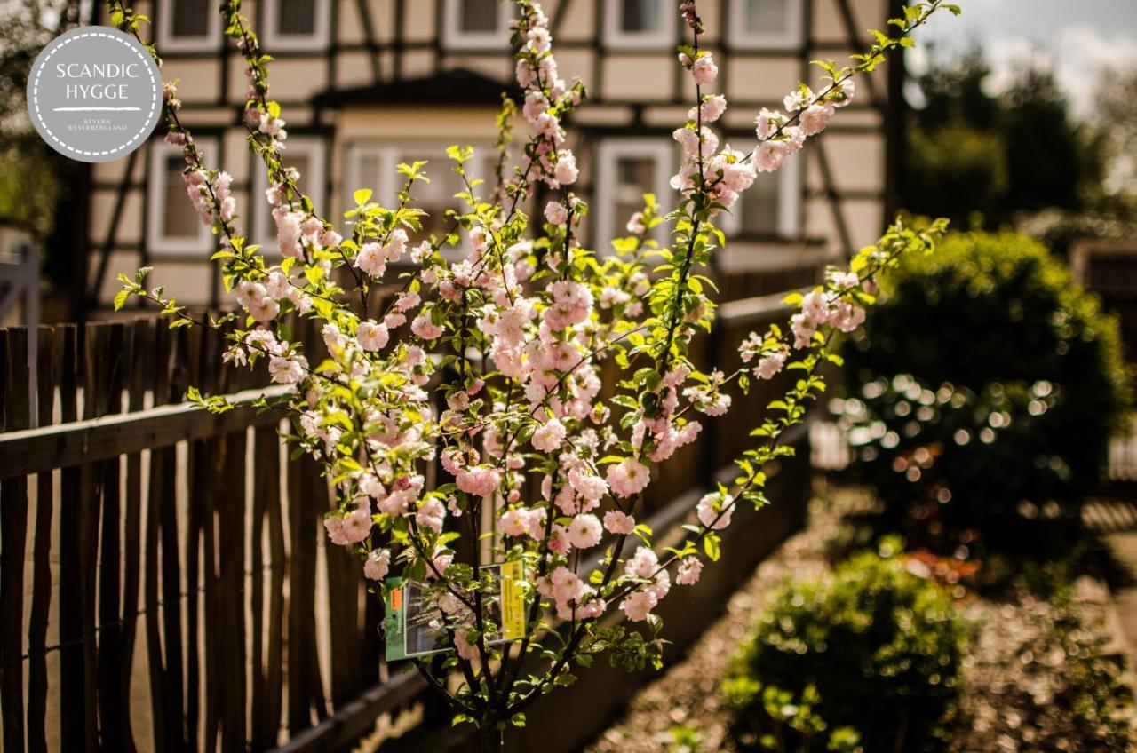 Ferienwohnung Scandic Hygge Bevern Im Weserbergland Экстерьер фото